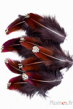 Fazant van Colchis glitters goud - 3-5 cm - natuurlijk